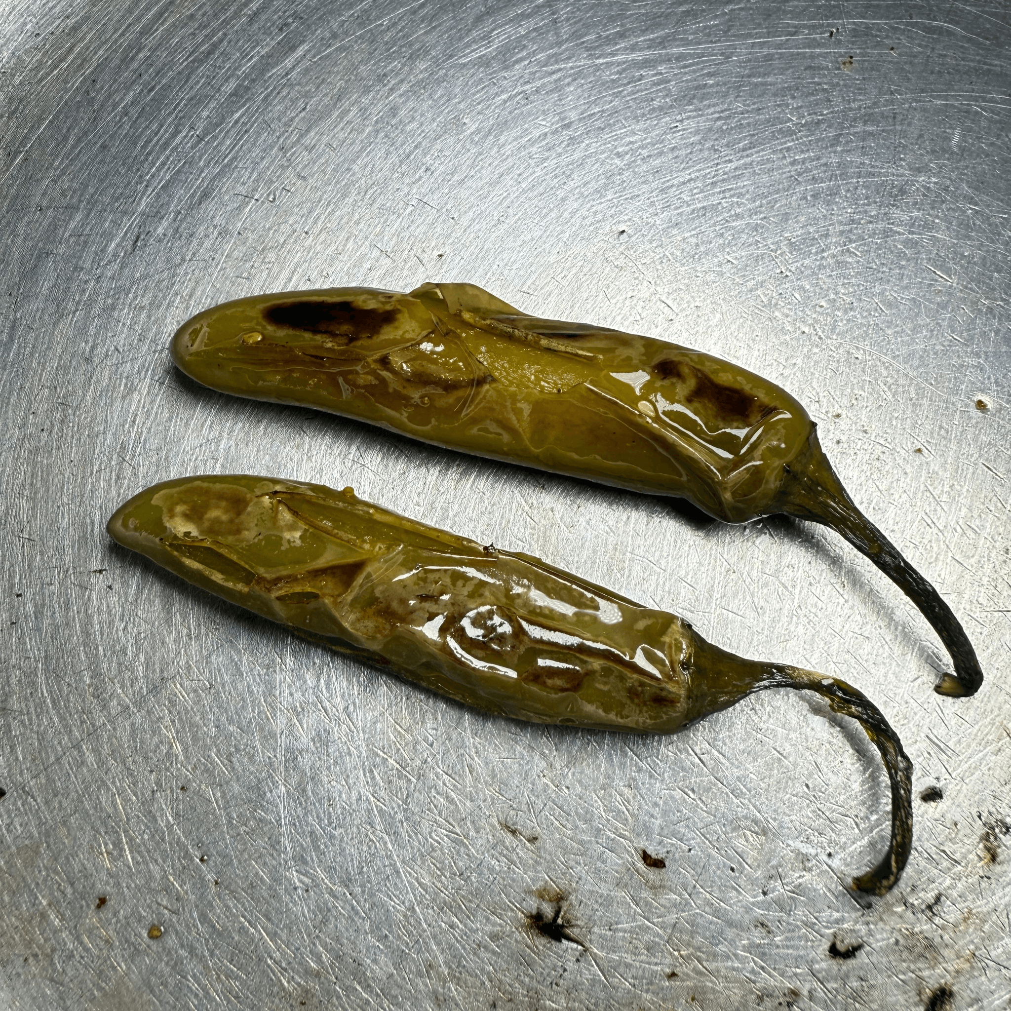 Grilled Serrano.